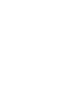 Low Tide Tours