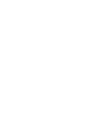 Low Tide Tours