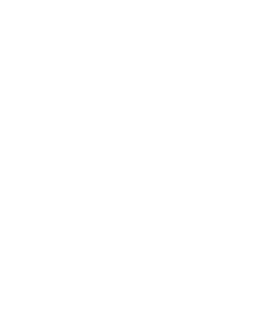 Low Tide Tours White Low Tide Tours