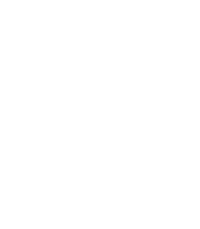 Low Tide Tours