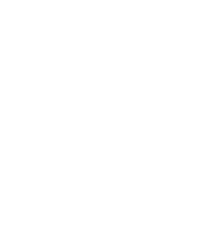 Low Tide Tours