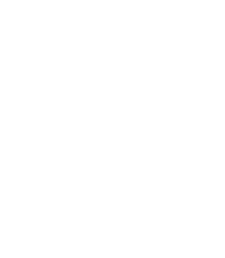Low Tide Tours